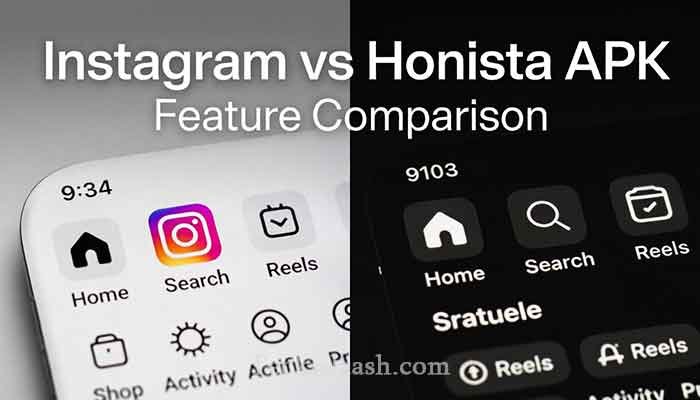 Honista APK – Is It the Best Instagram Alternative? 2 Honista APK vs Instagram feature comparison chart