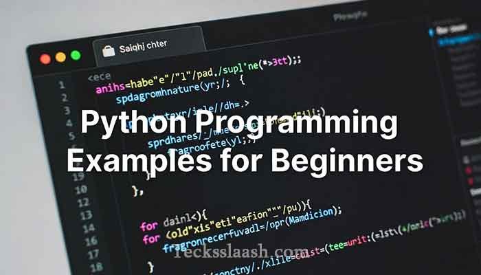 Python programming examples for beginners shown in VS Code editor