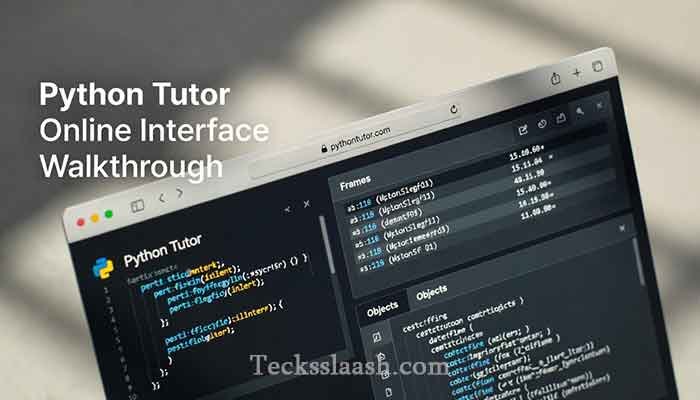 Python Tutor online interface showing frames and objects panel during code visualization