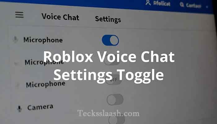 Roblox Voice Chat: How to Enable It in 2025 2 Roblox voice chat microphone enable setting in account privacy page